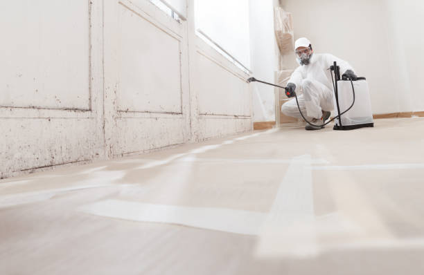 24/7 Emergency Attic Mold Removal experts in Glencoe, FL